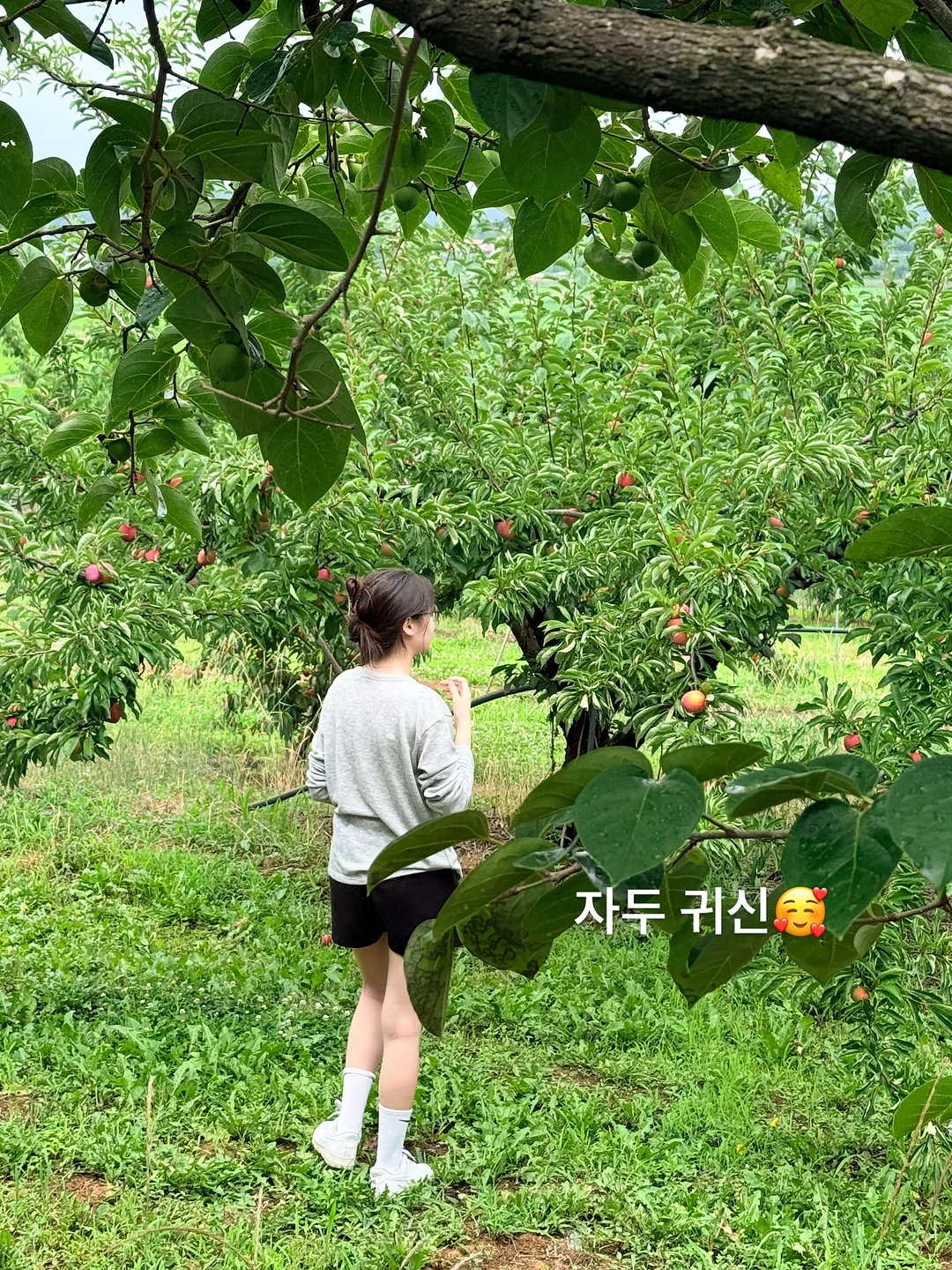 플레어핏 데님 7