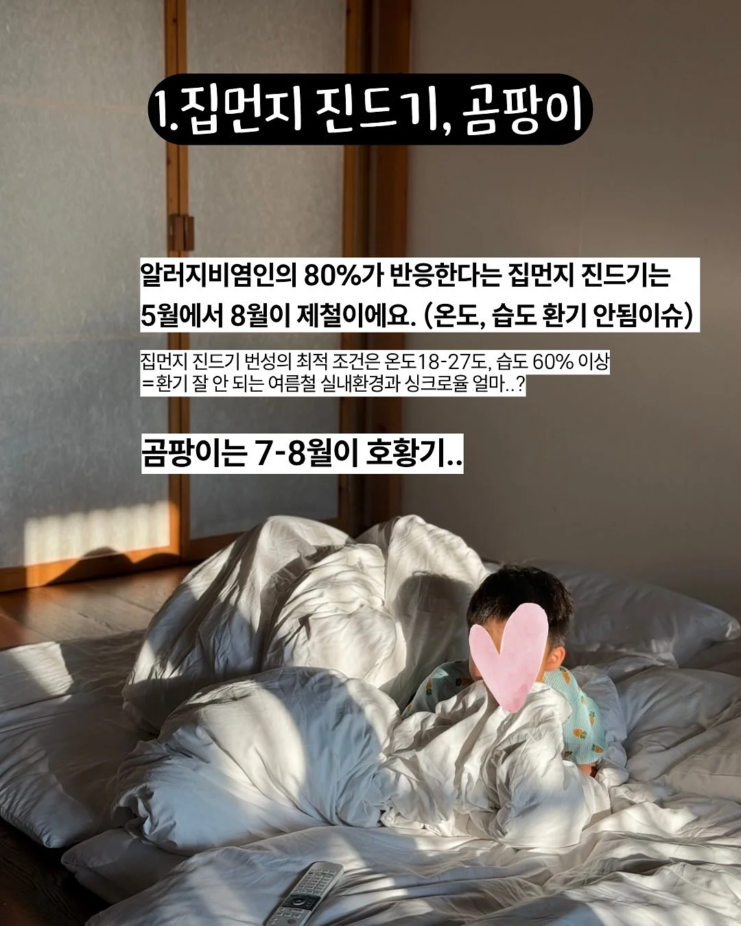 자기주도 양말 2