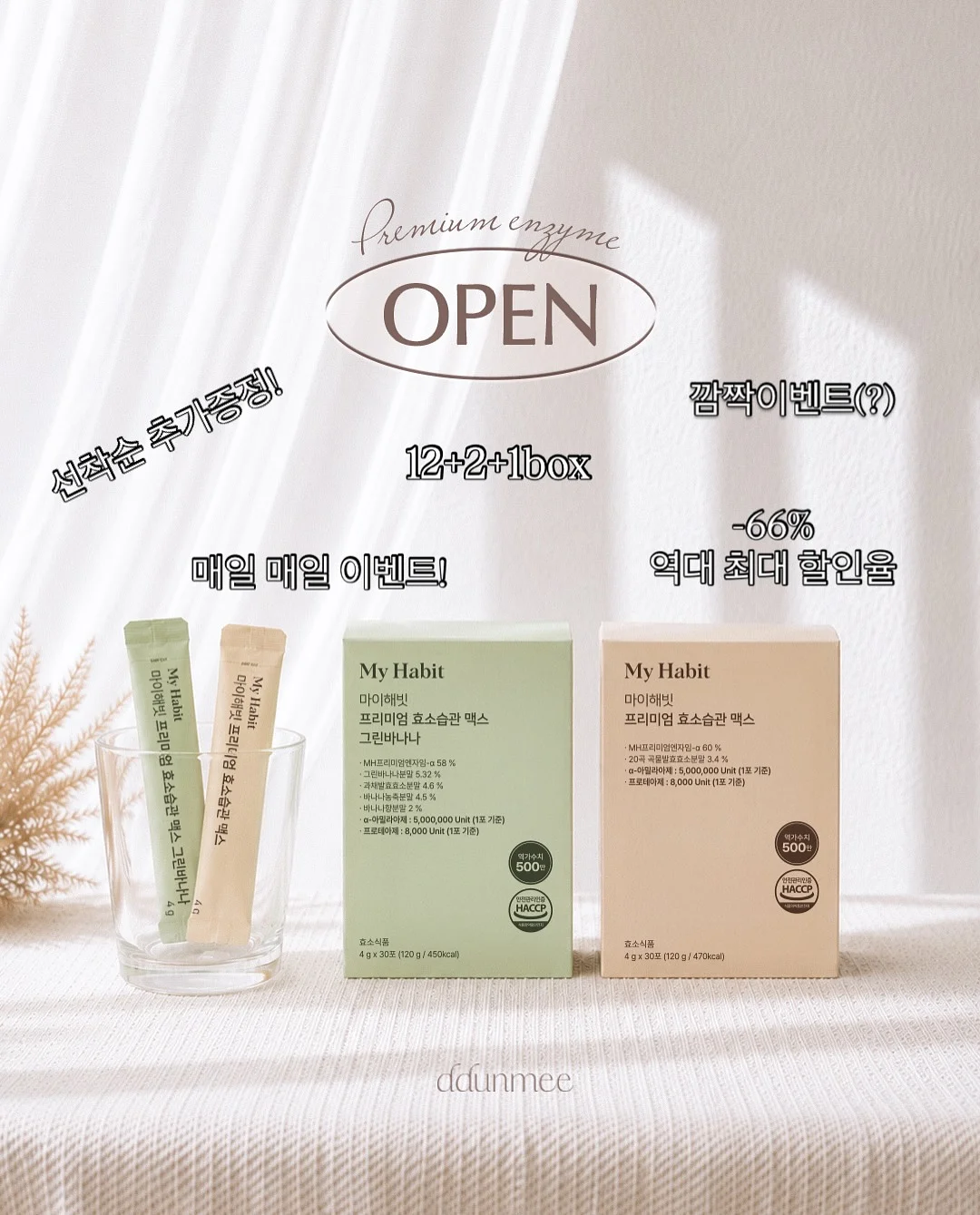생화 카라 화분 1