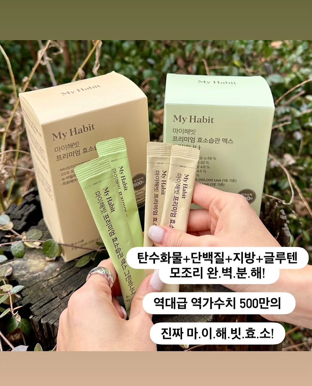 생화 카라 화분 11