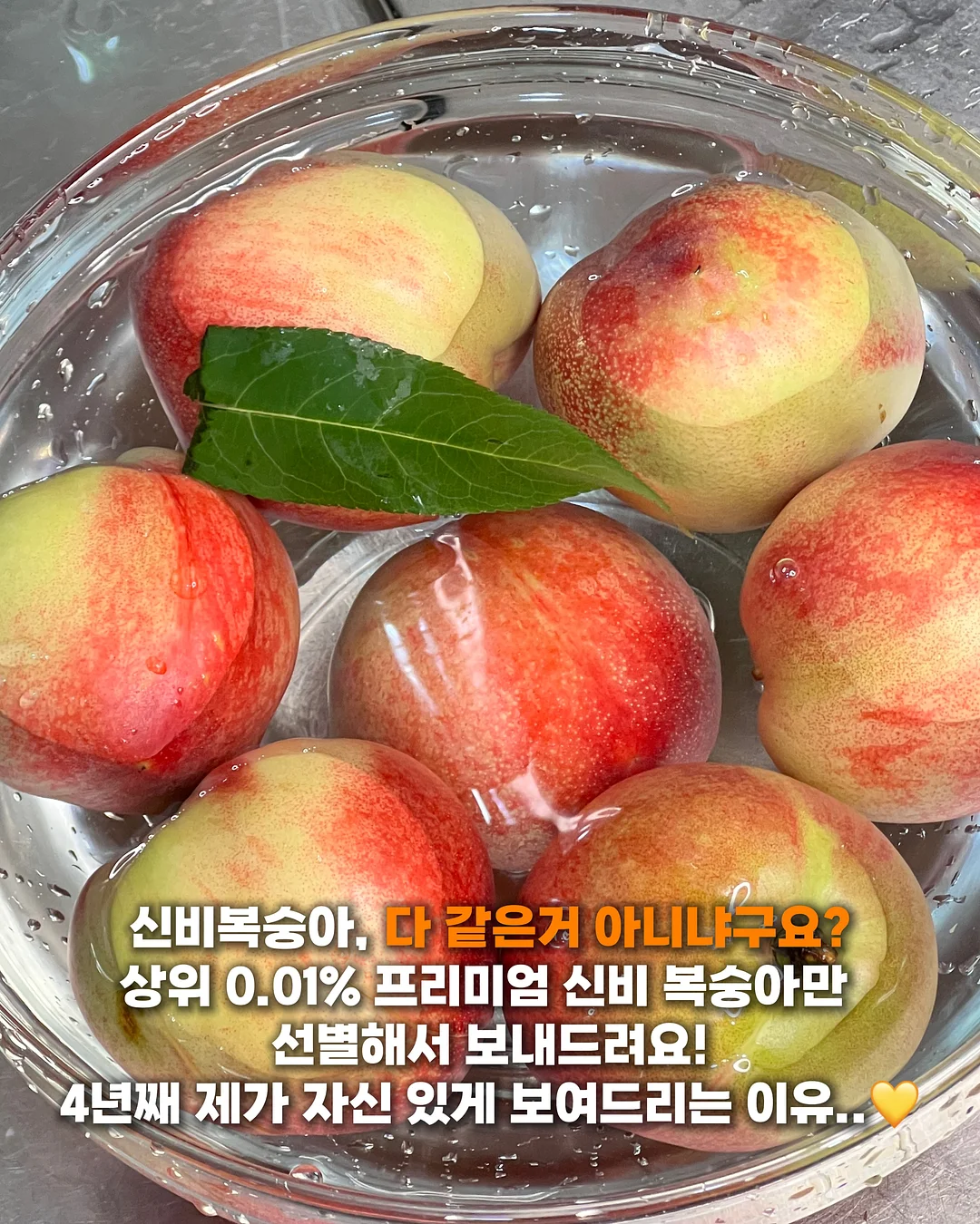 소상공인 영업시장 DB 6
