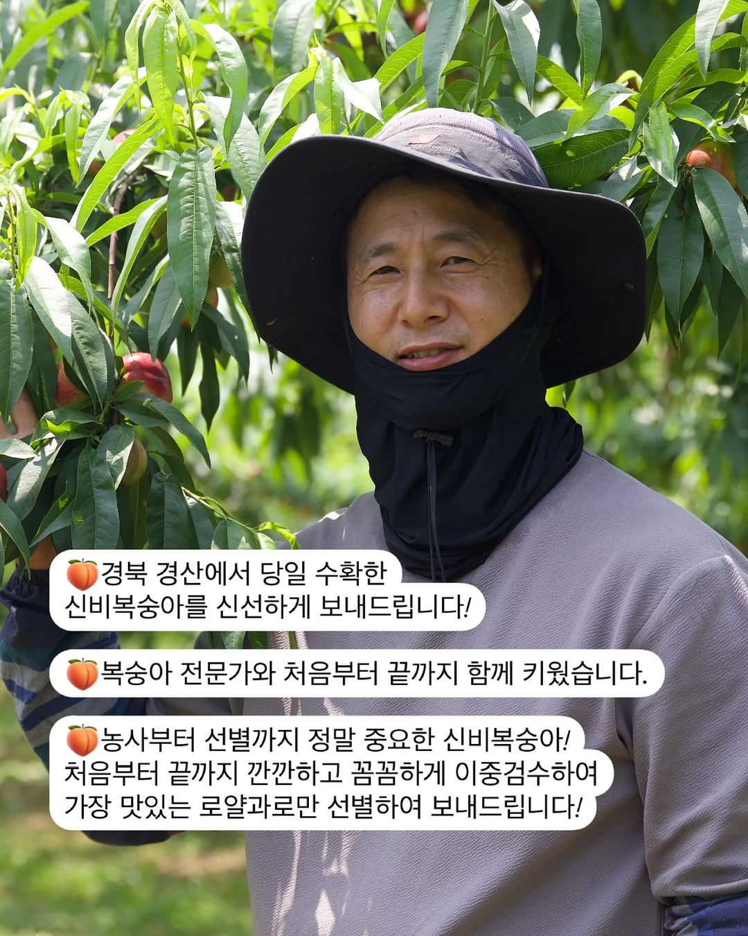 소상공인 영업시장 DB 7