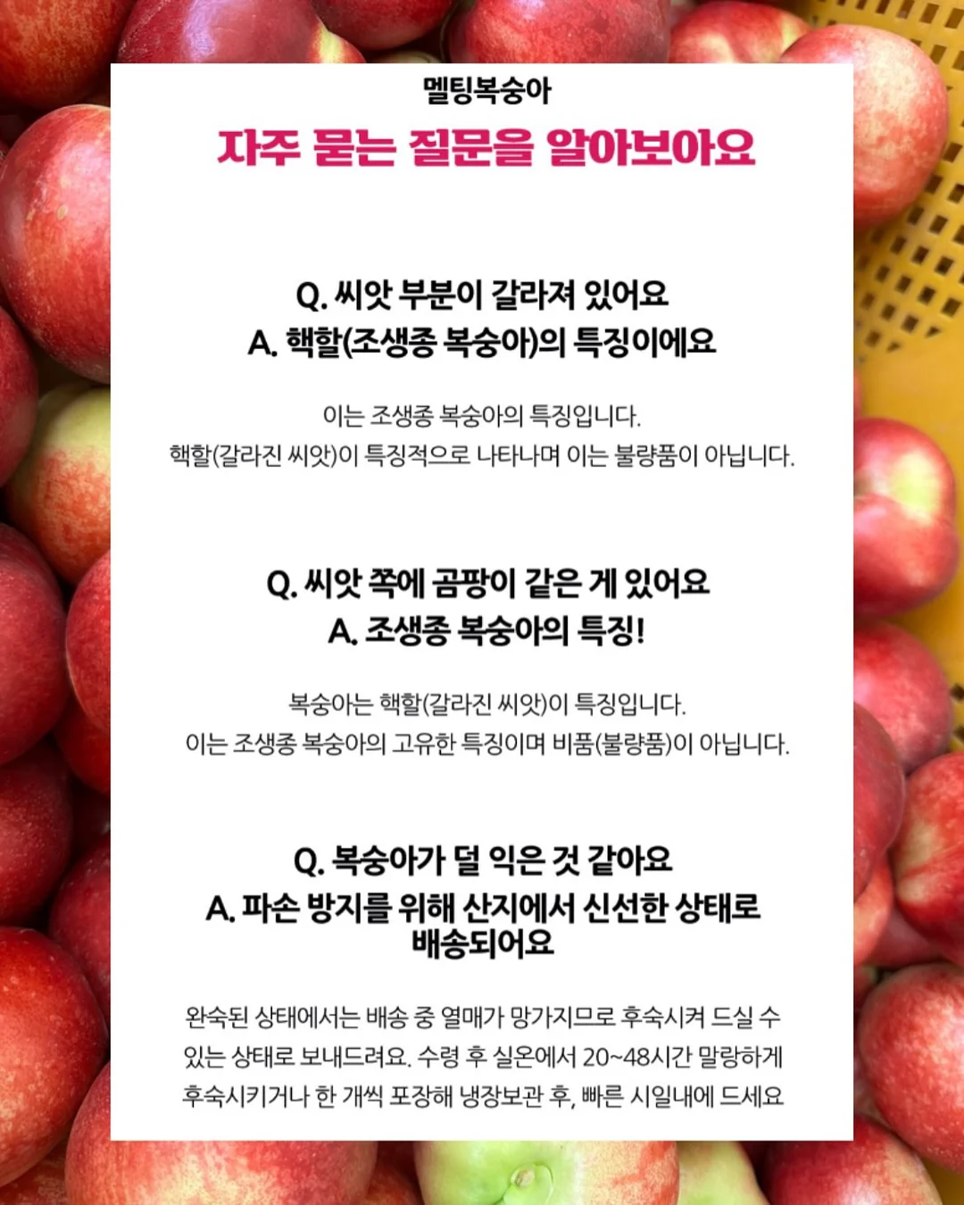 소상공인 영업시장 DB 8