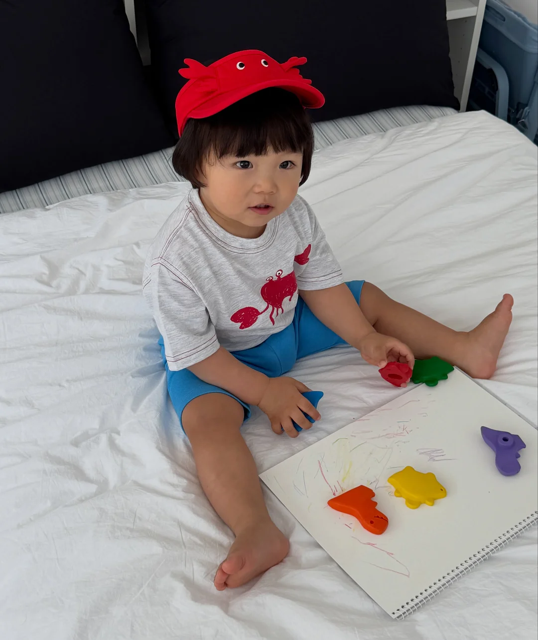 제누와즈 보터햇 7