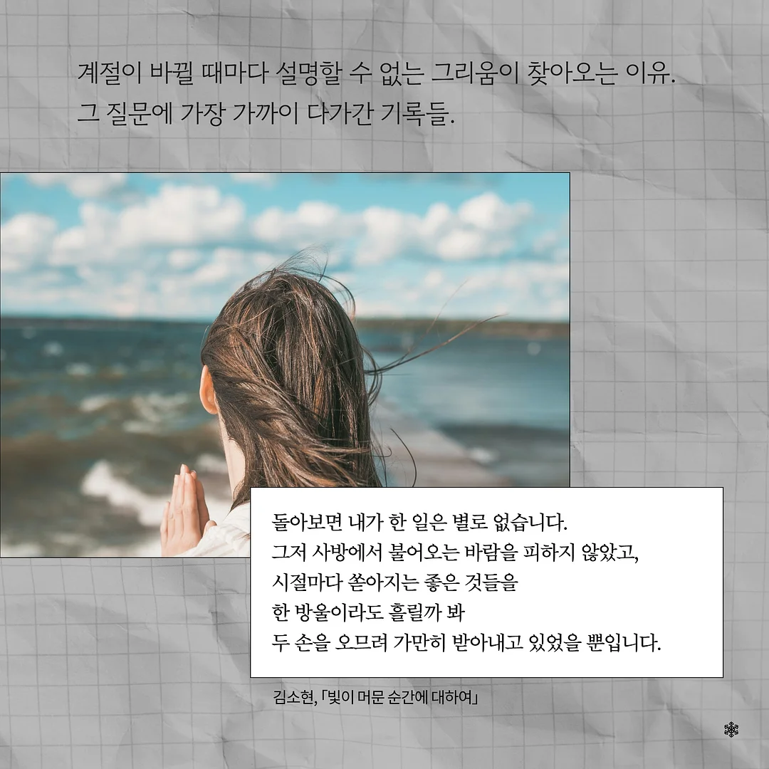 루이스미샤 2