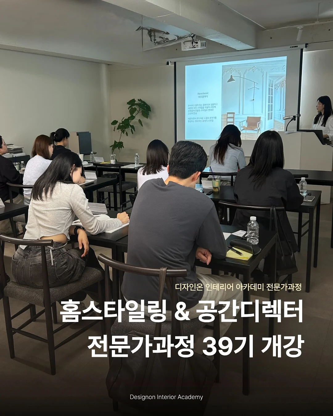 웨르 웨지 뮬 1