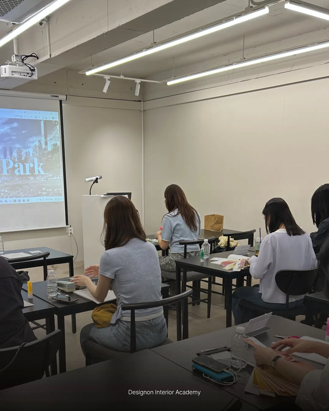 웨르 웨지 뮬 6