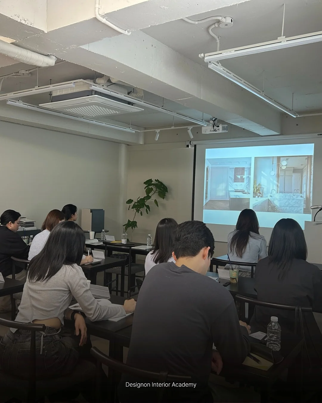 웨르 웨지 뮬 7