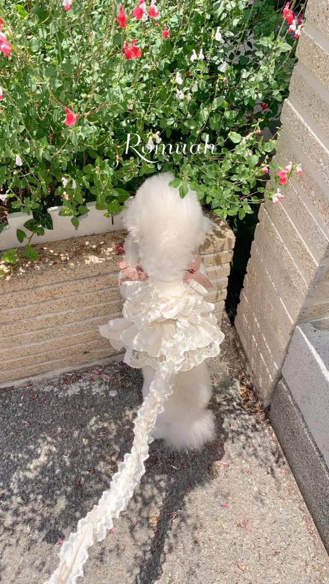 그린레시핏