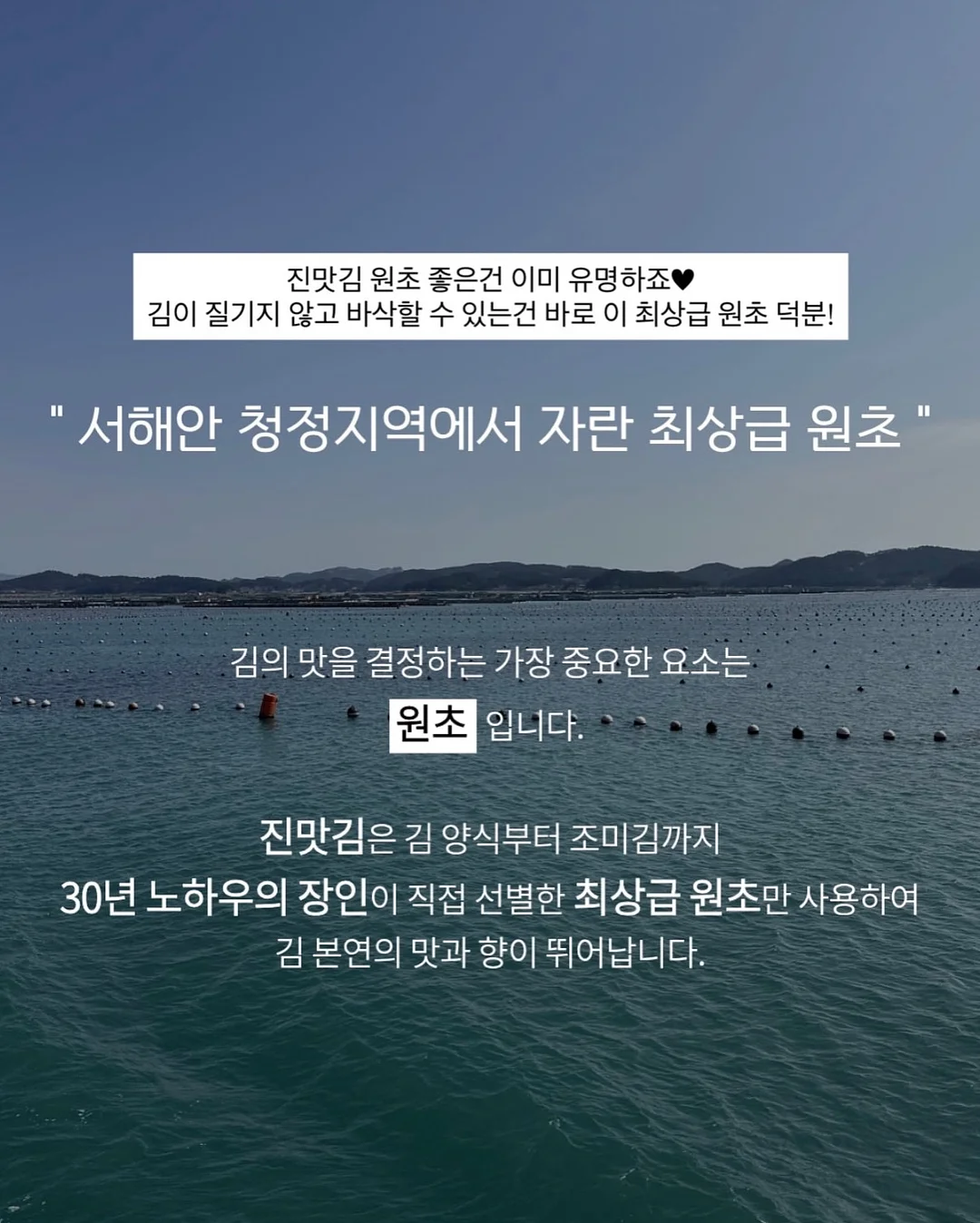 벨라인에스테틱 윤곽관리 8