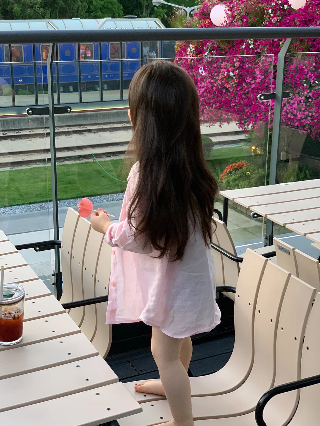 소고기 다짐육, 토마토, 저칼로리 케찹, 통밀 또띠아, 체다치즈, 로메인 상추, 깐마늘, 양파 18