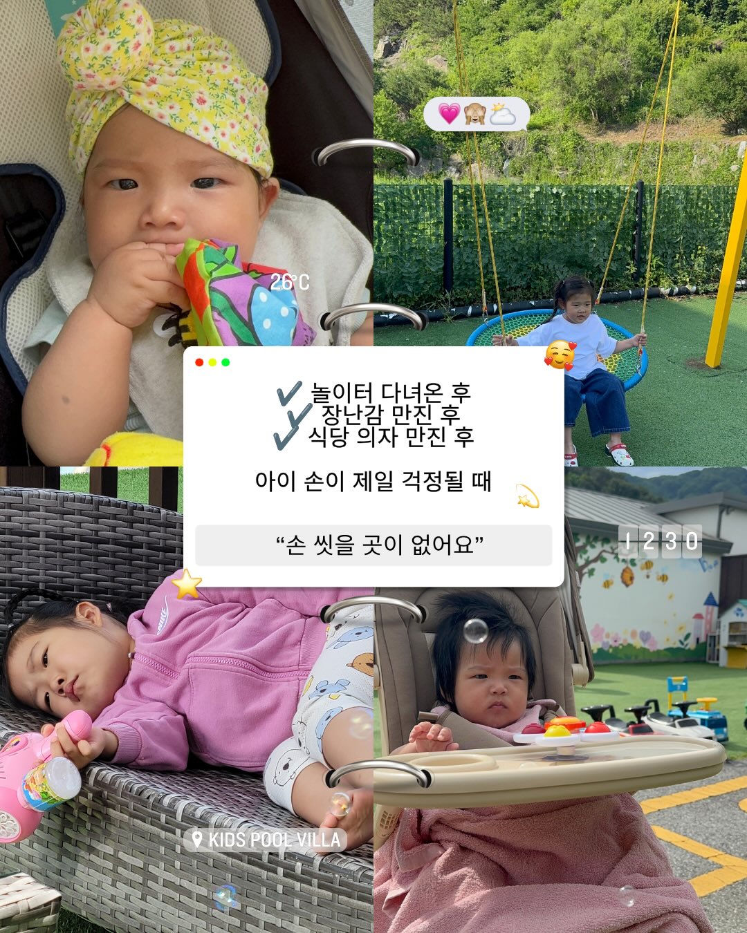 갑오징어 2