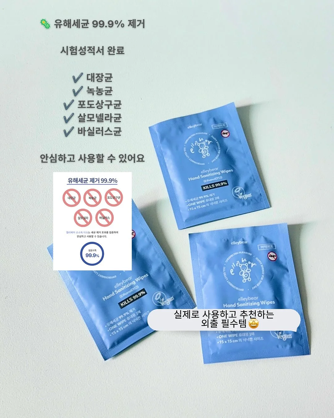 갑오징어 12
