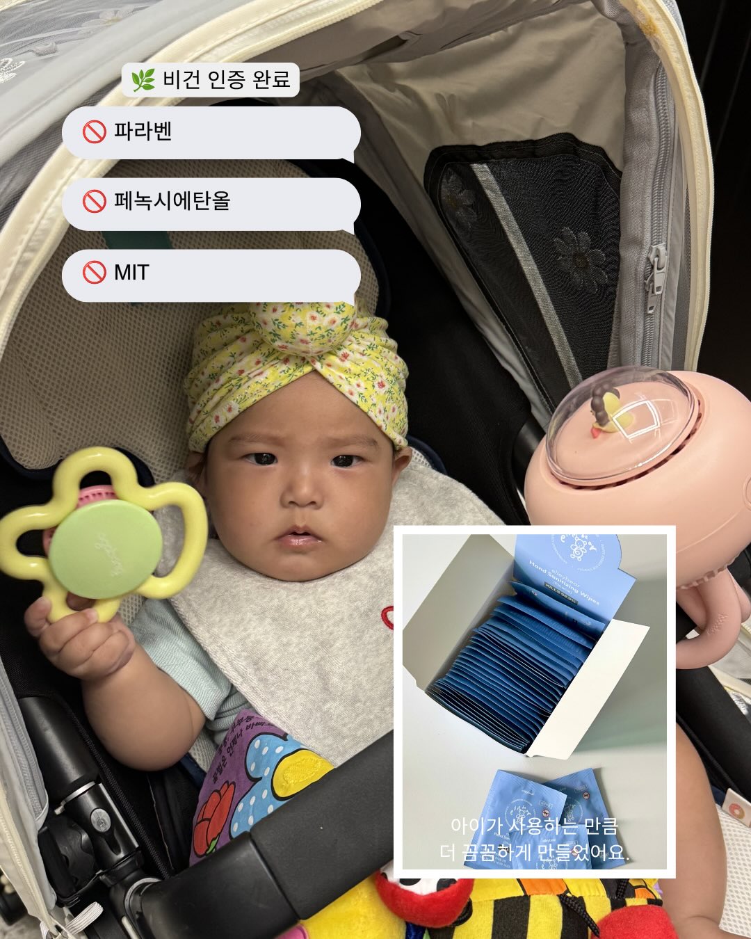 갑오징어 13