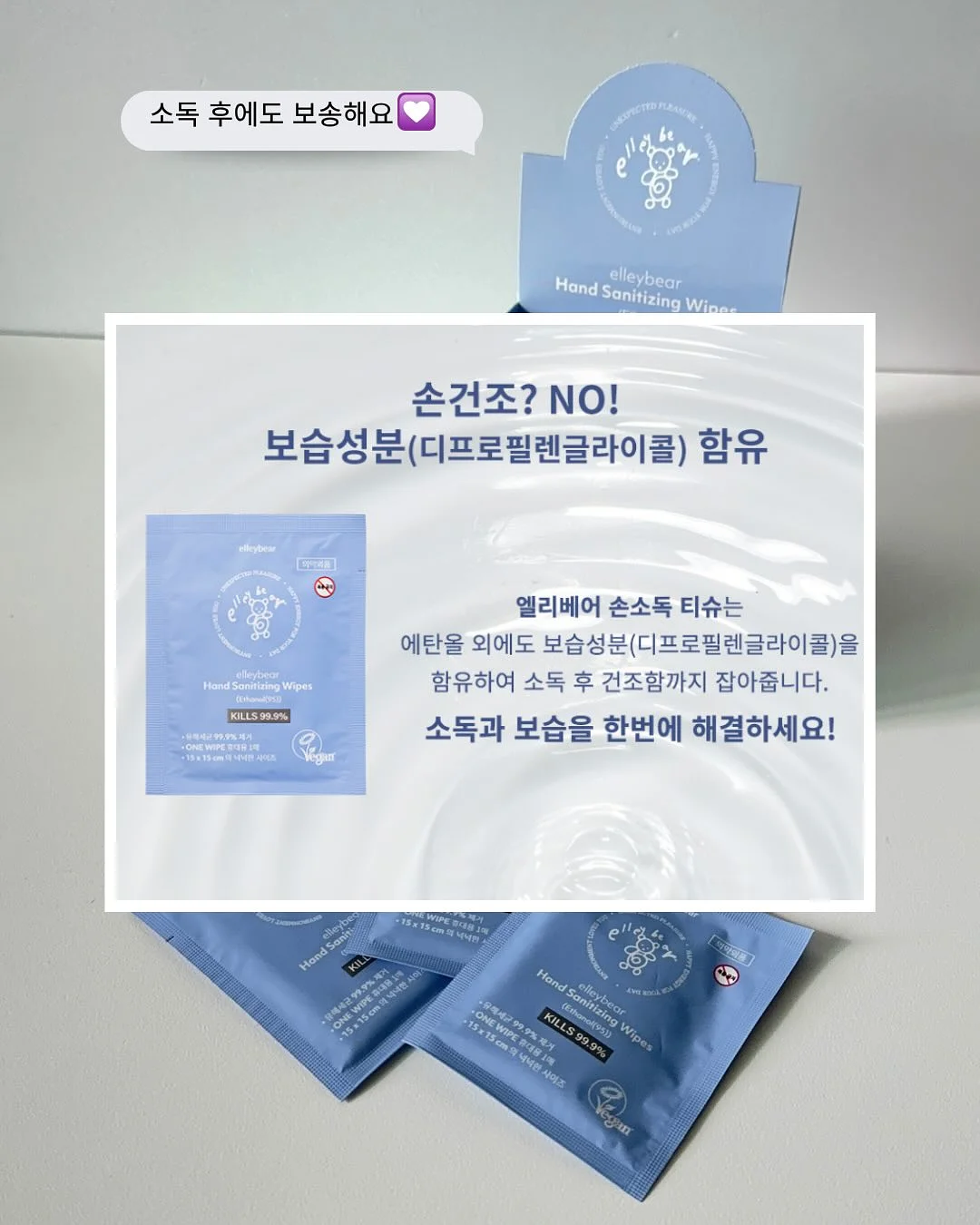 갑오징어 14