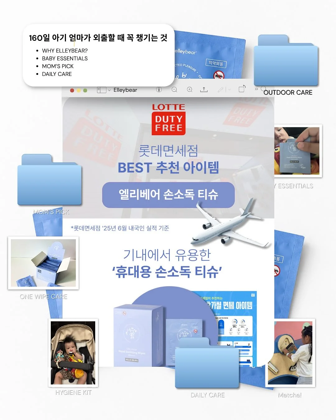 갑오징어 4