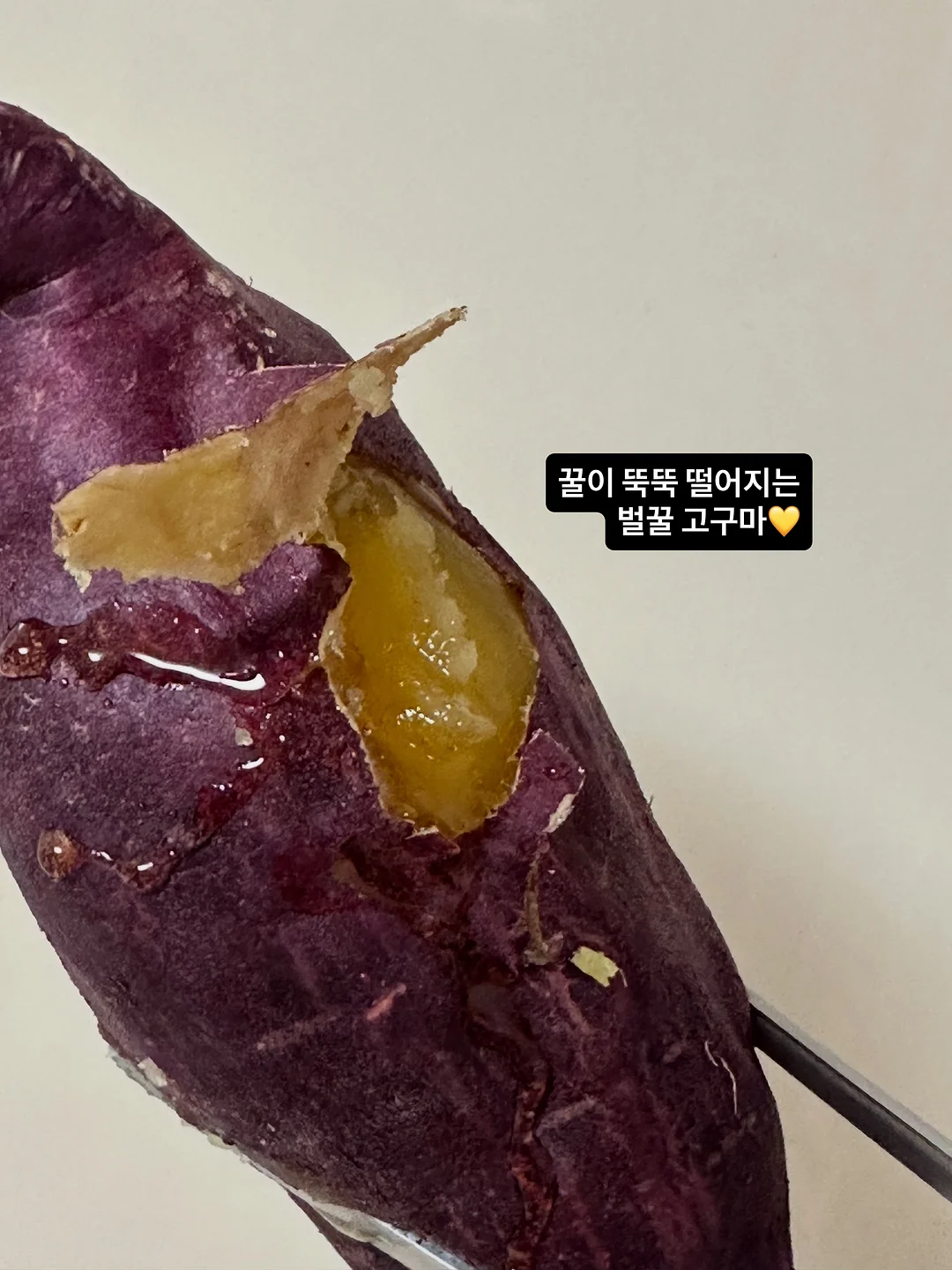 헤민세라믹스 컬렉션 13