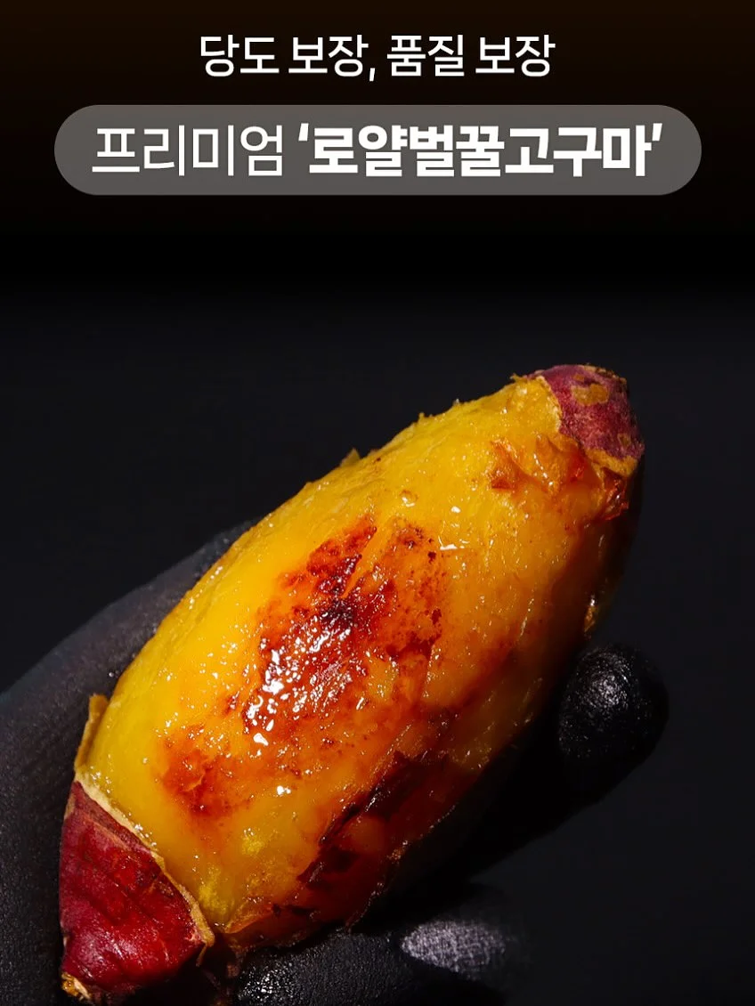 헤민세라믹스 컬렉션 5