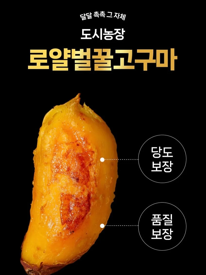헤민세라믹스 컬렉션 6