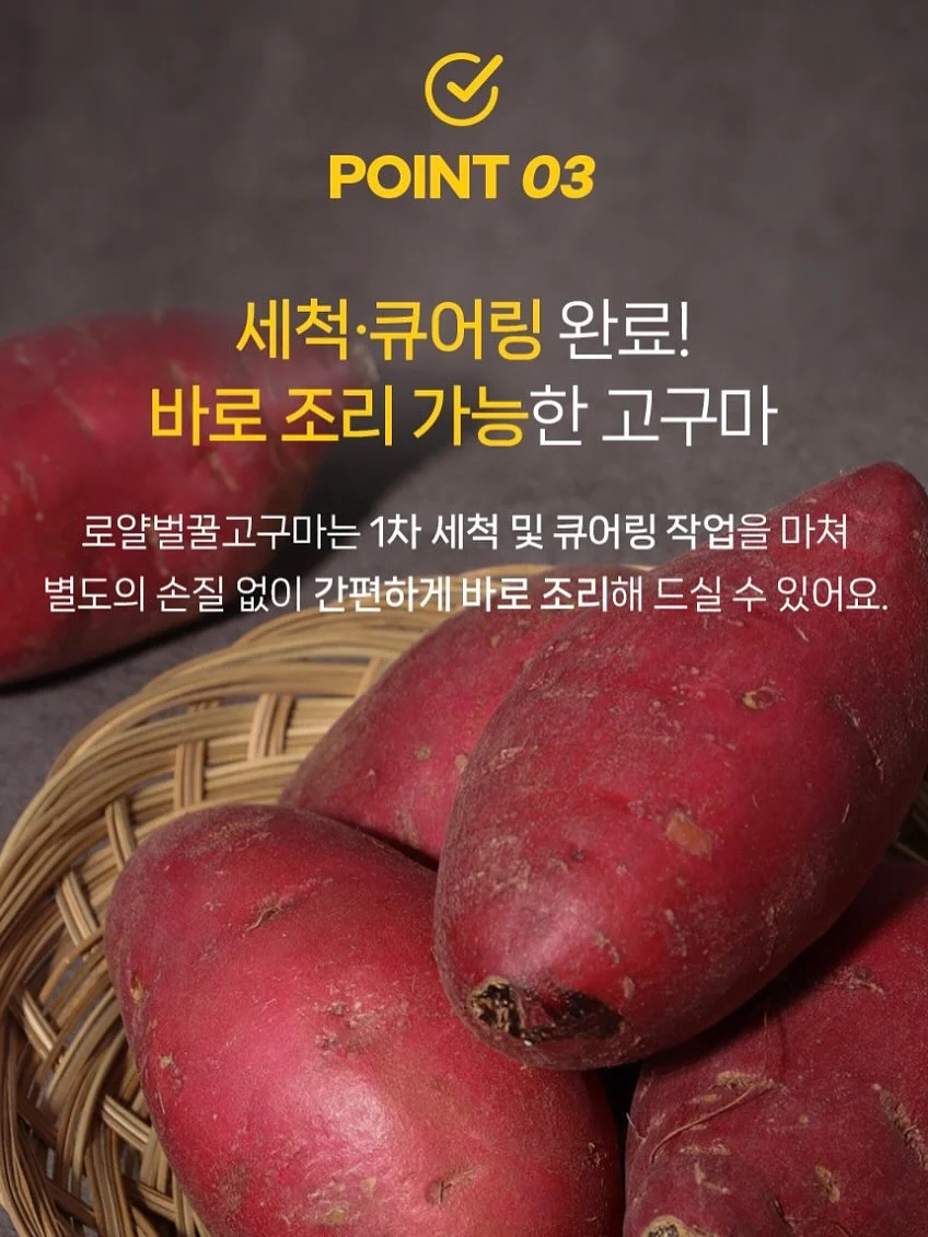 헤민세라믹스 컬렉션 9