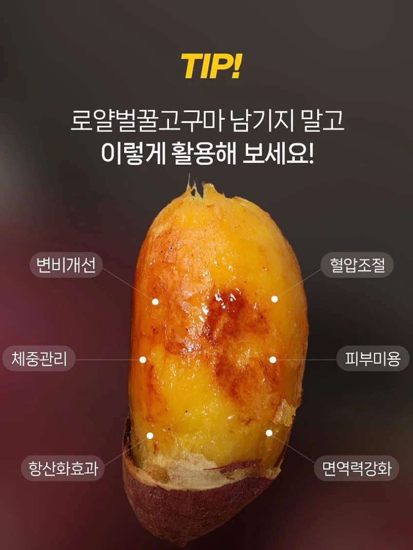 헤민세라믹스 컬렉션 10