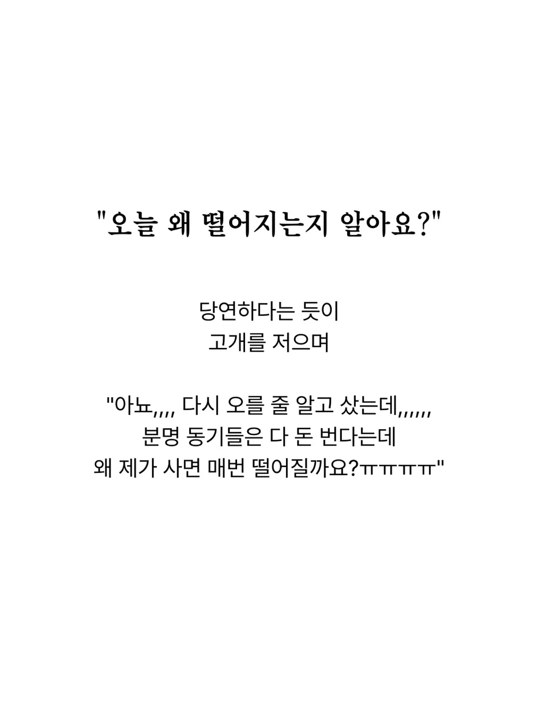귤쫀쿠 3개세트 4