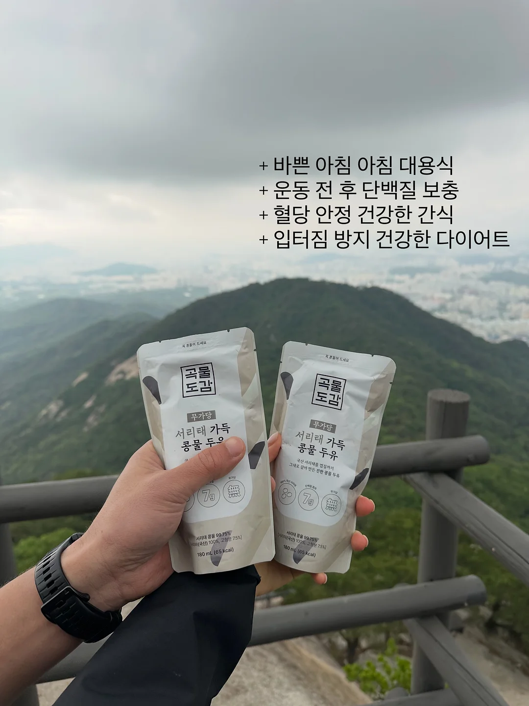 루이비통 초콜릿 12
