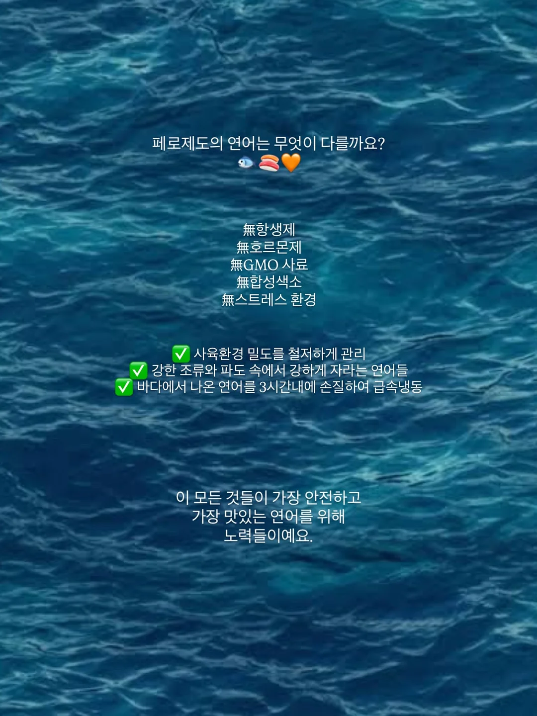 Gyo셔츠 2