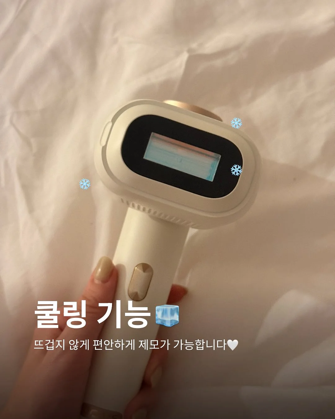 보니토 베베 26 여름 4