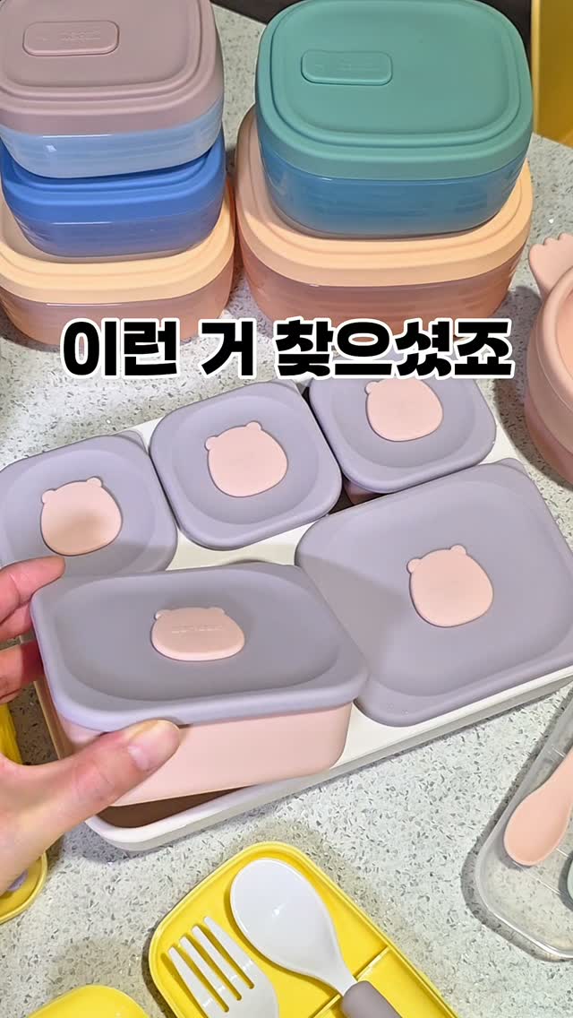 브리티쉬 숏헤어 고양이