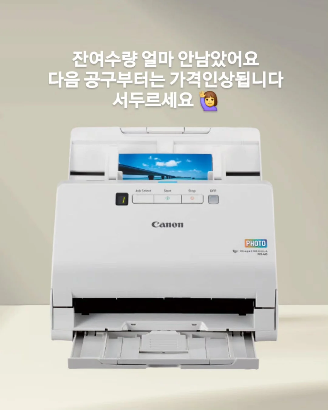 독톡 배변패드 XL 1