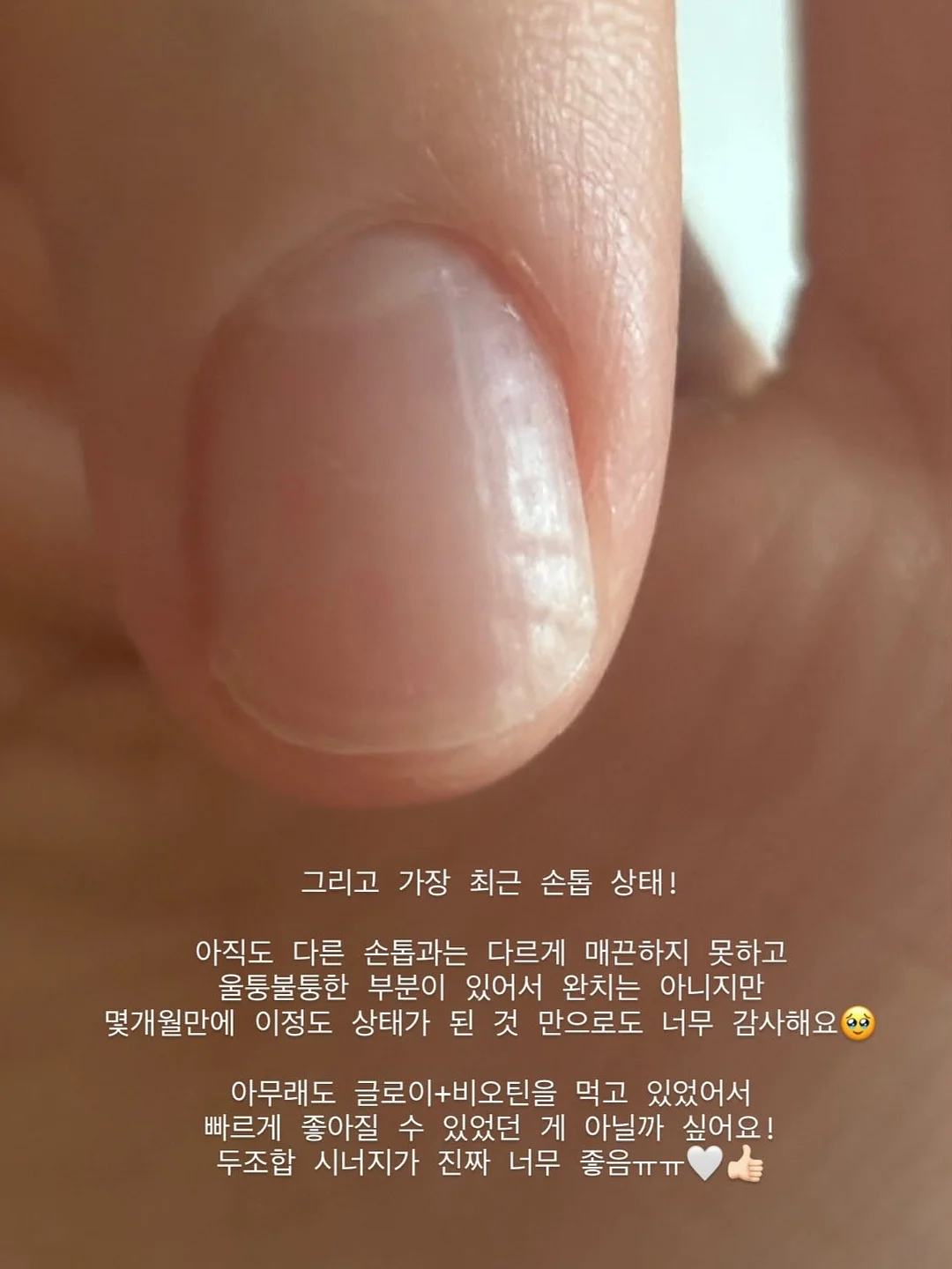 사우나백 12