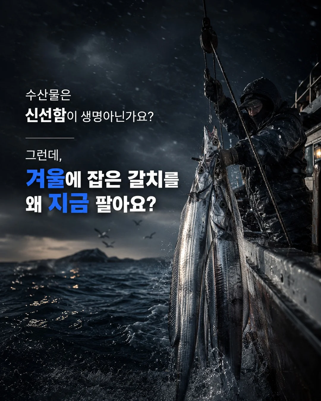 화이트튤립 2