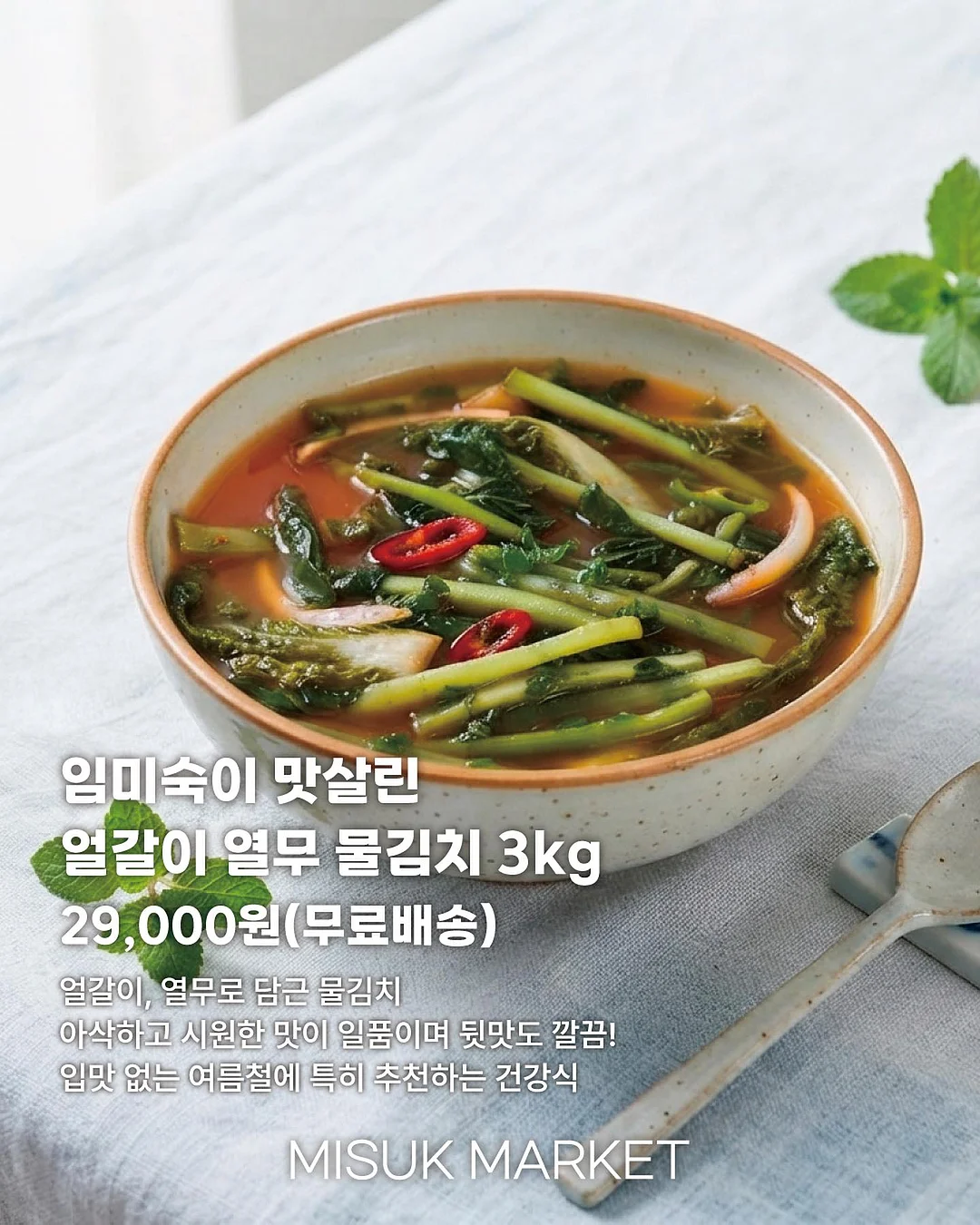 소르베 가디건 2