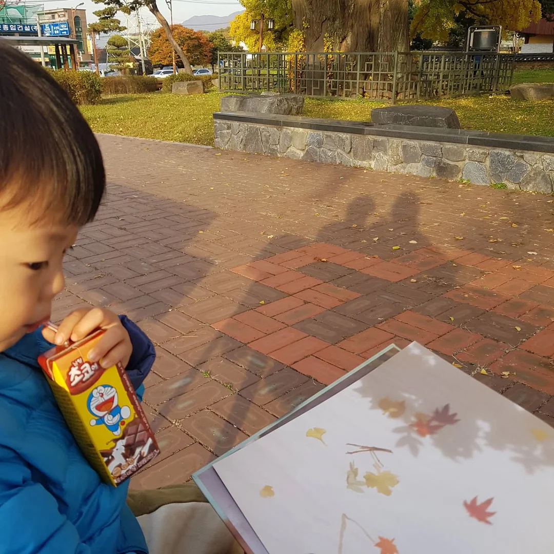 블라인드 5
