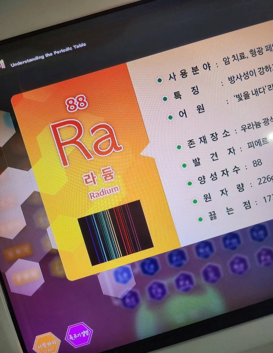 반려견 용품 51번 5