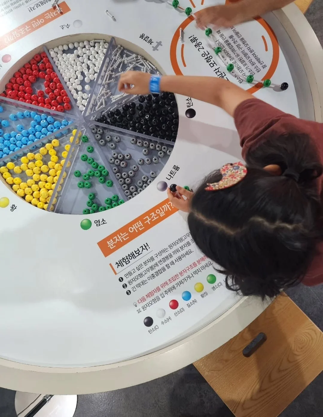 반려견 용품 51번 7