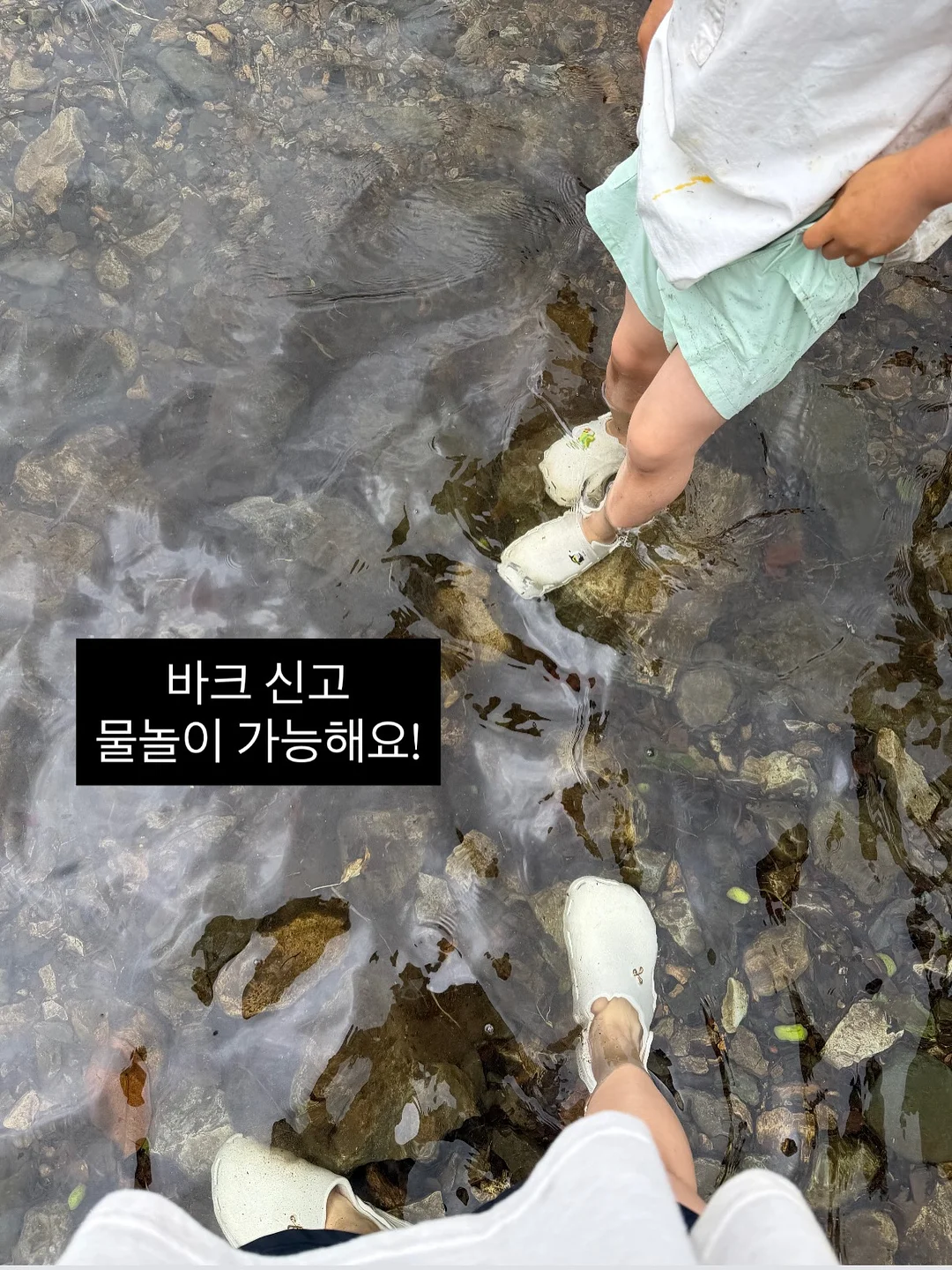 다이어트 프로그램 5