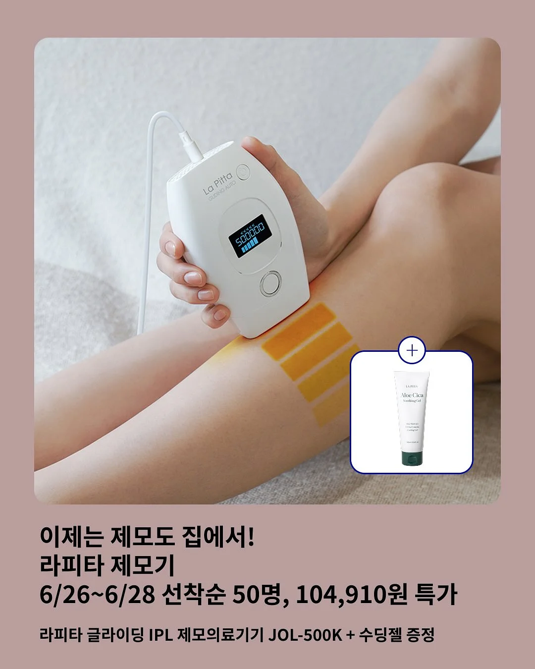 써니가 빚은 고사리 3