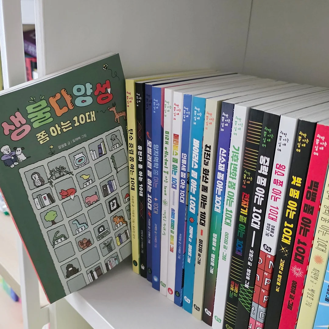 분수 과정 2