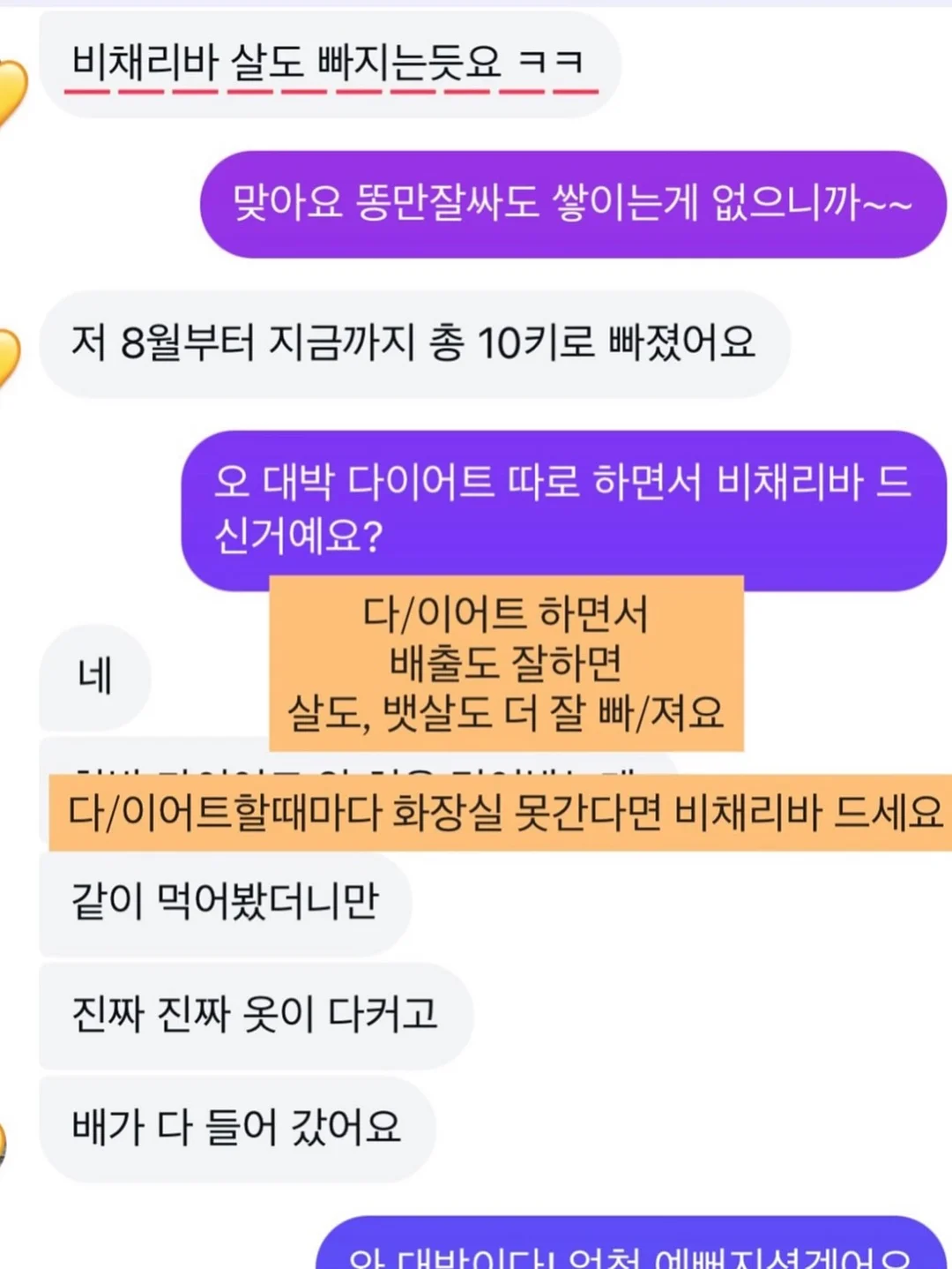 웜스 시스루 블라우스 10