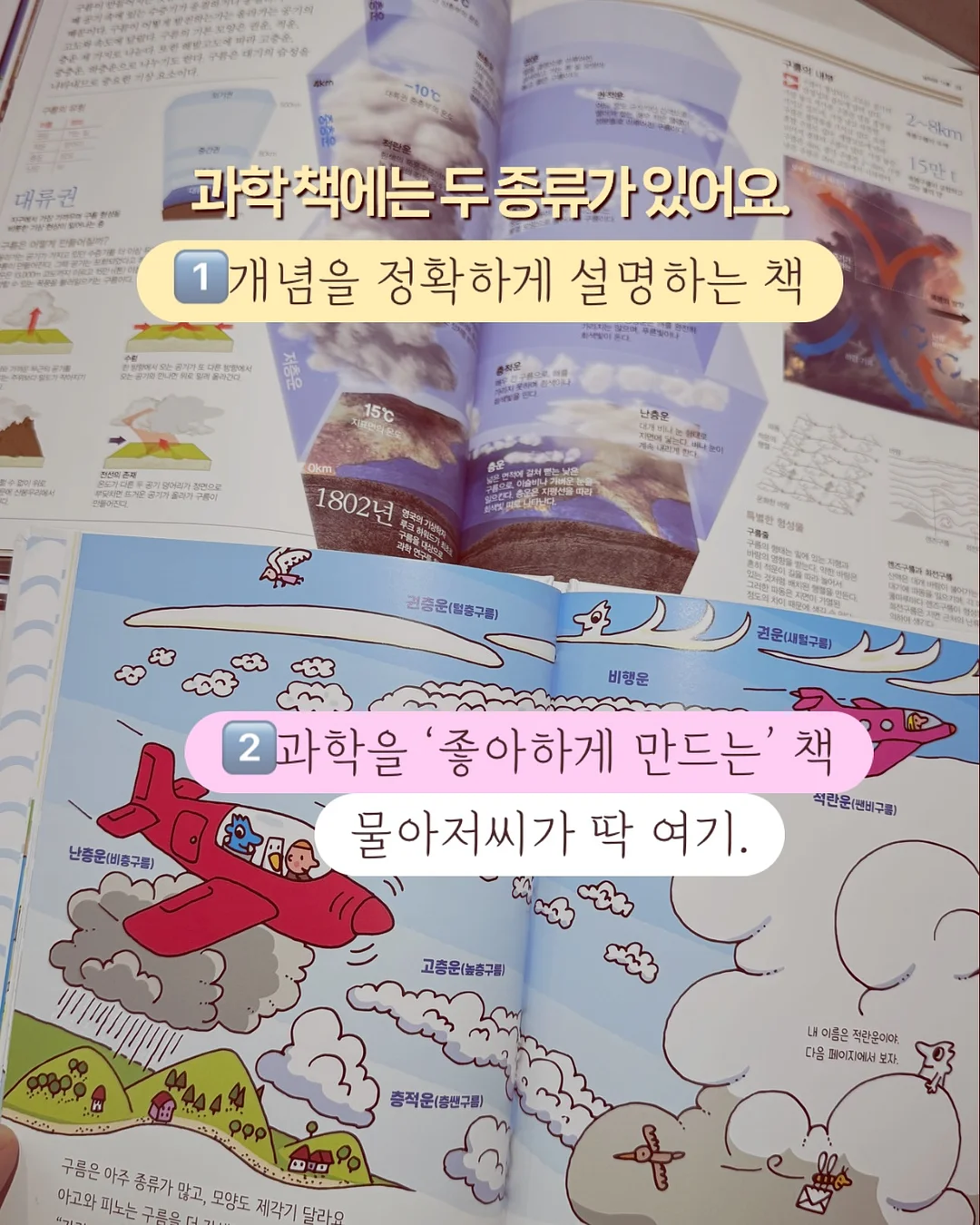 꽃게 된장찌개 12