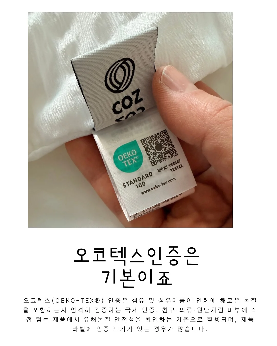 단호박 블루베리 케이크 9