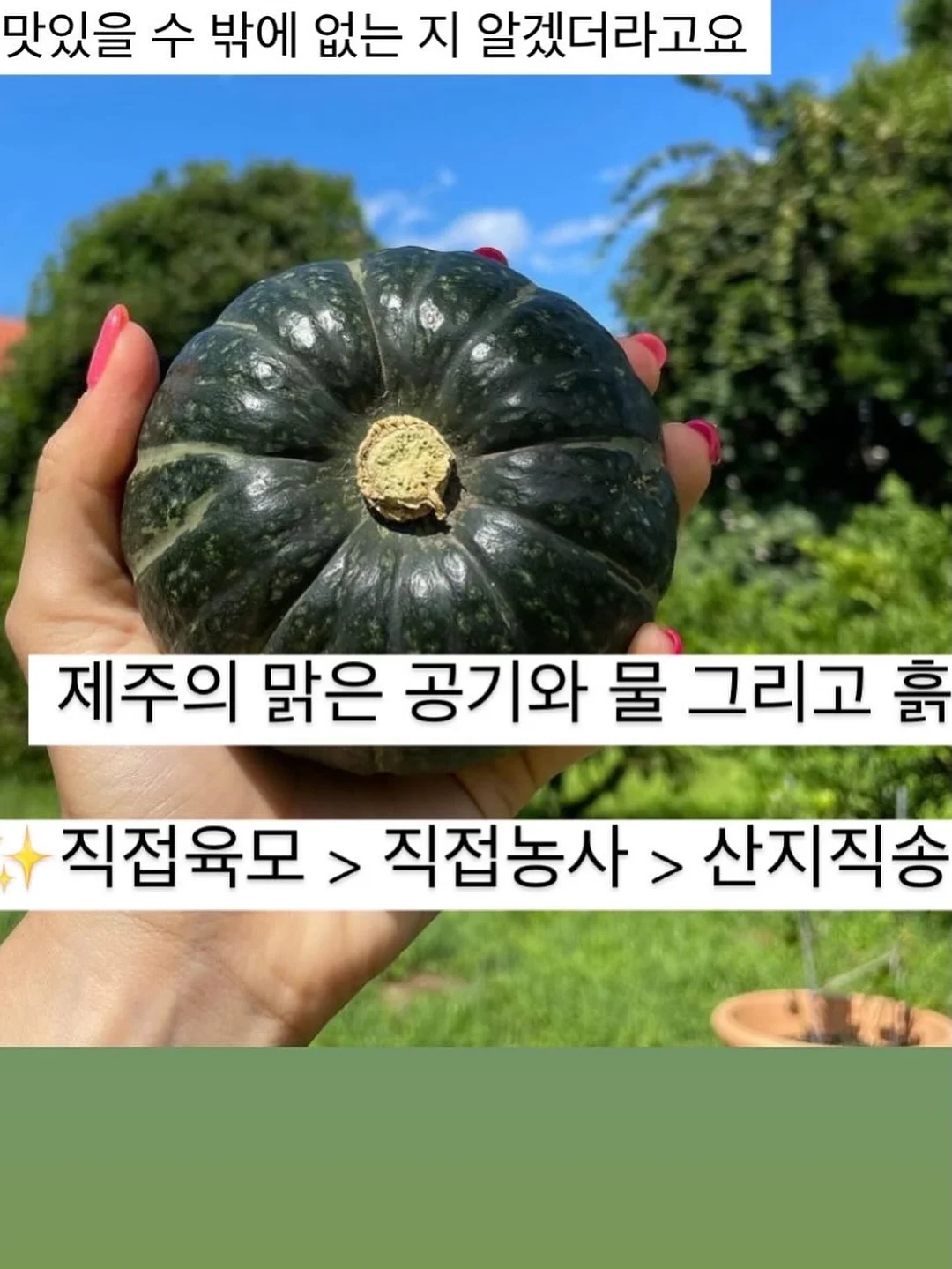 피자 2