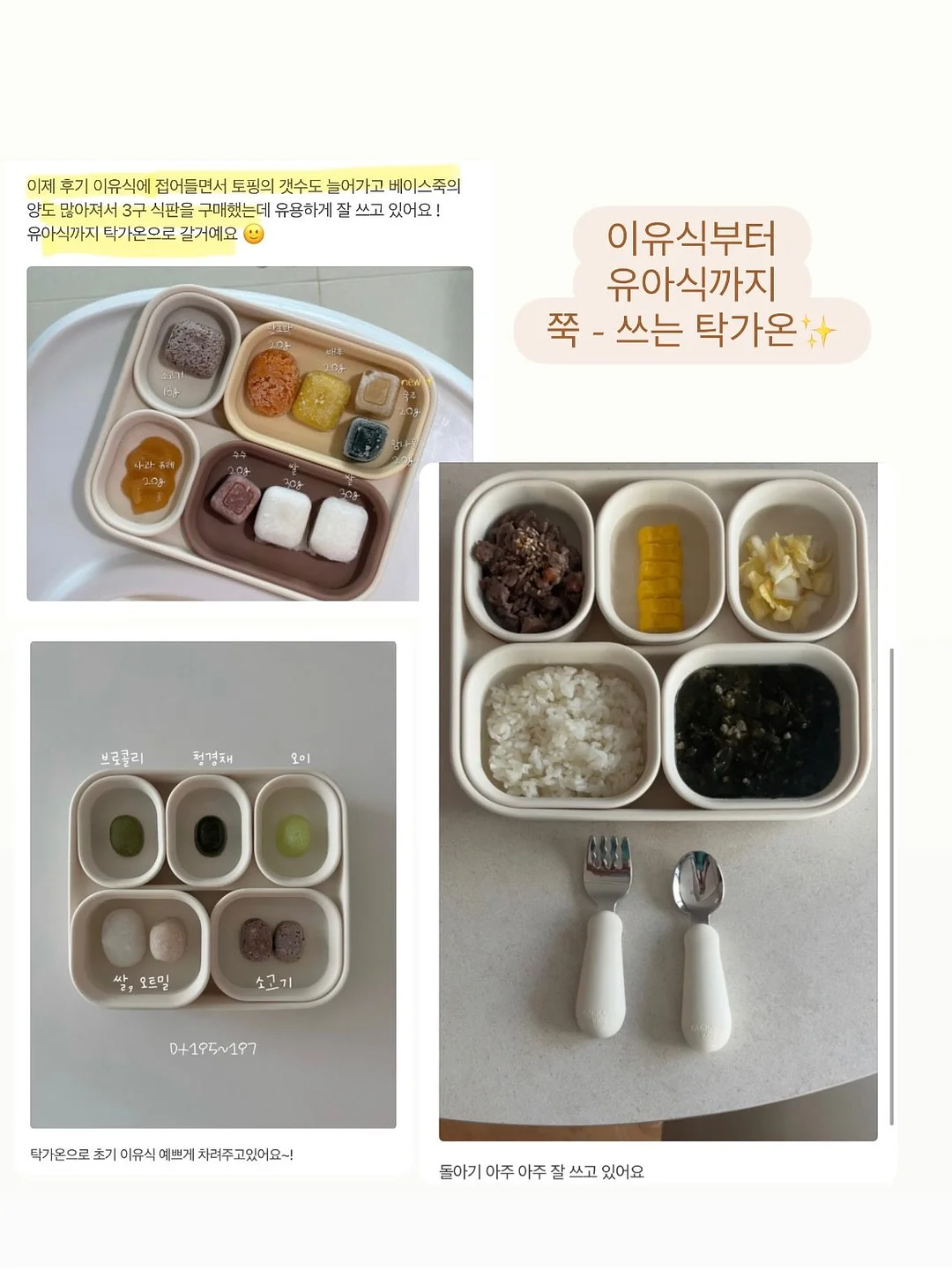 정화 빵 8