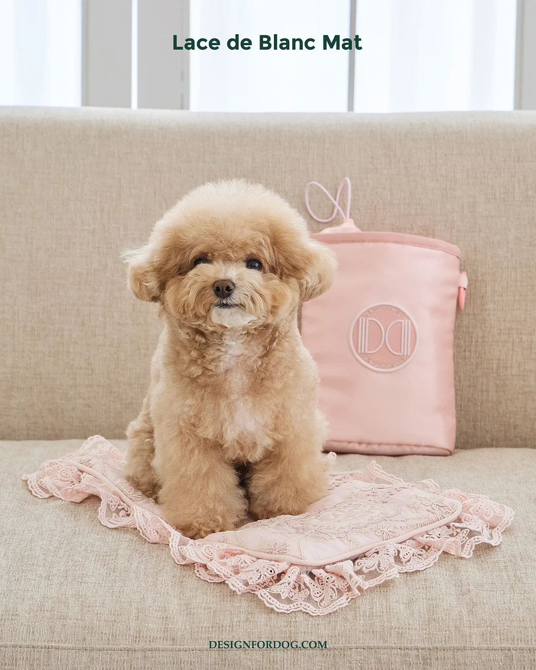 영어 화술 6