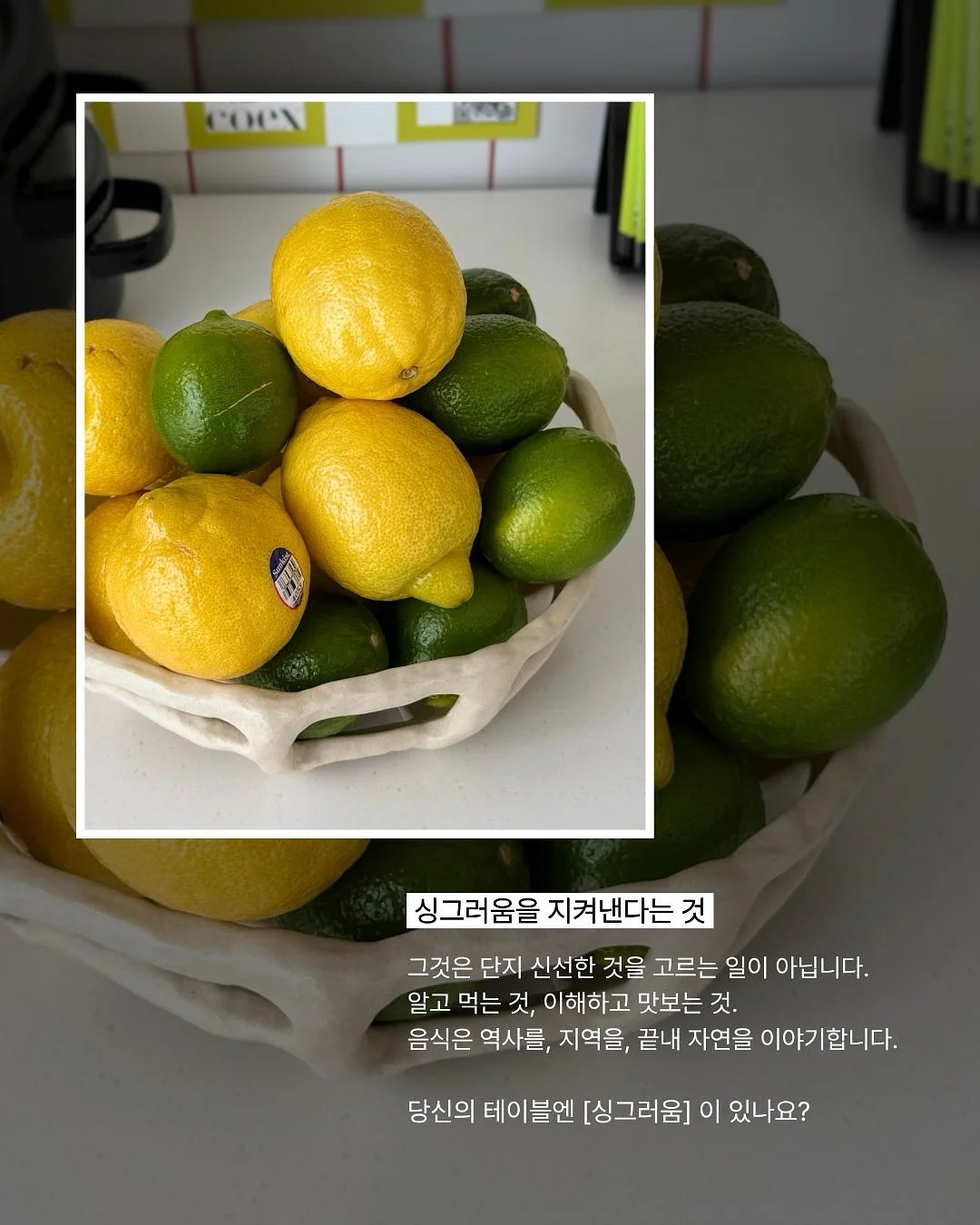 톰팬츠 2