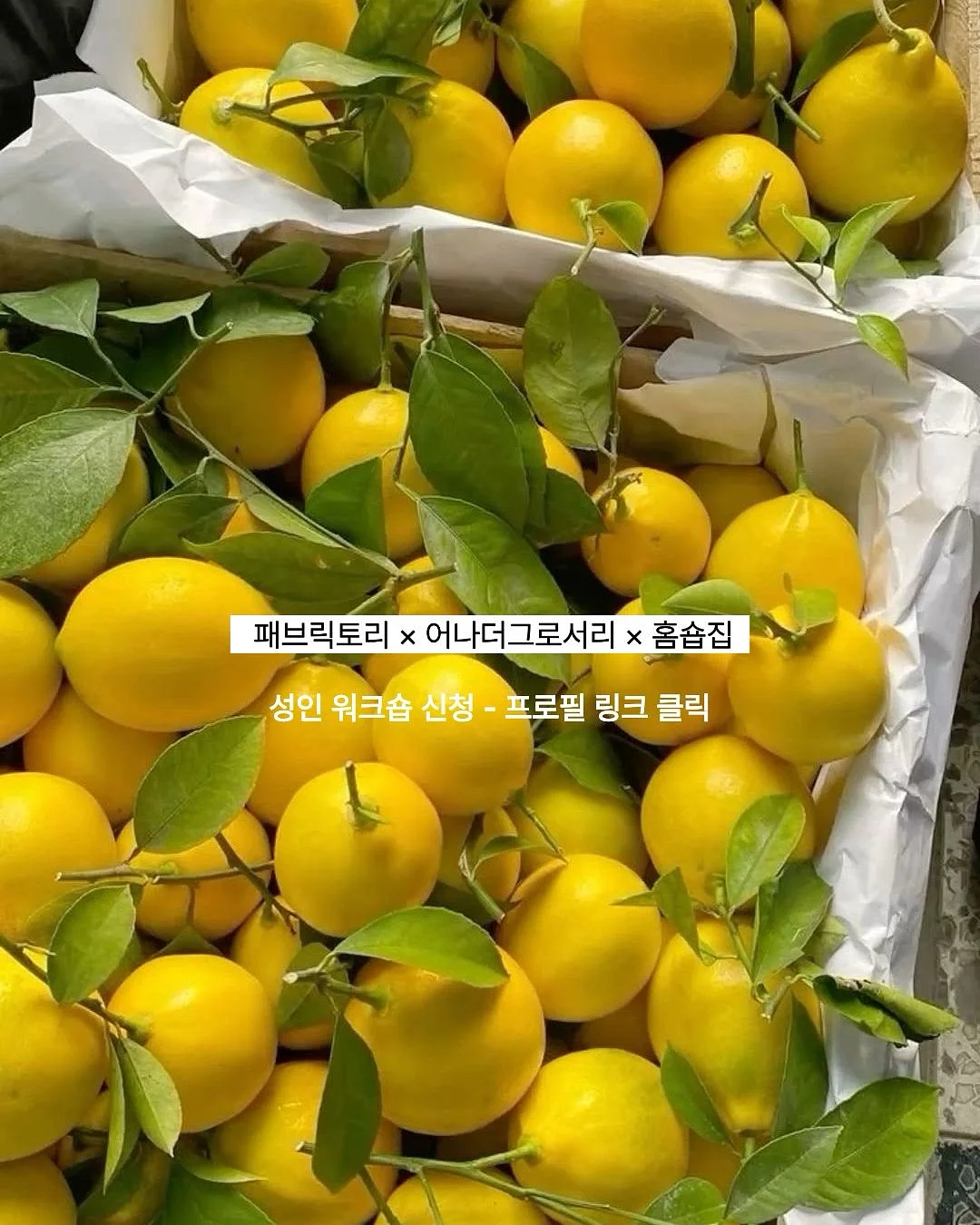 톰팬츠 5