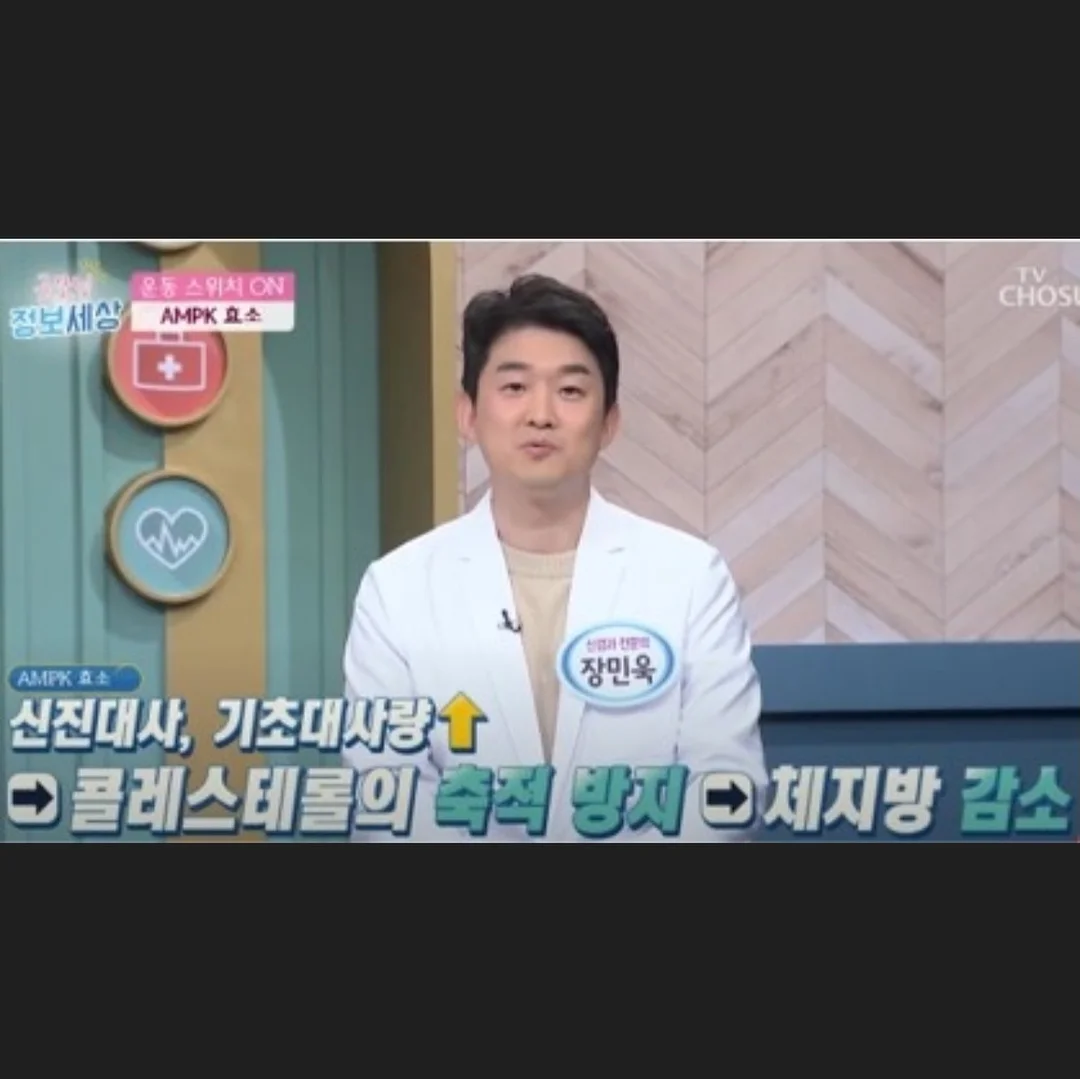 웨딩 영상 11