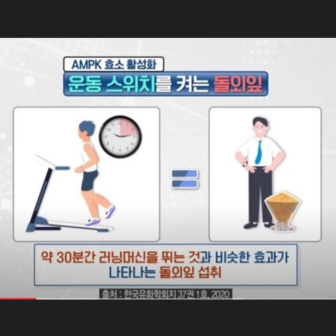 웨딩 영상 14